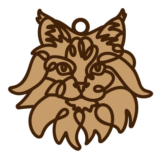 Personalized Cat Ornaments
